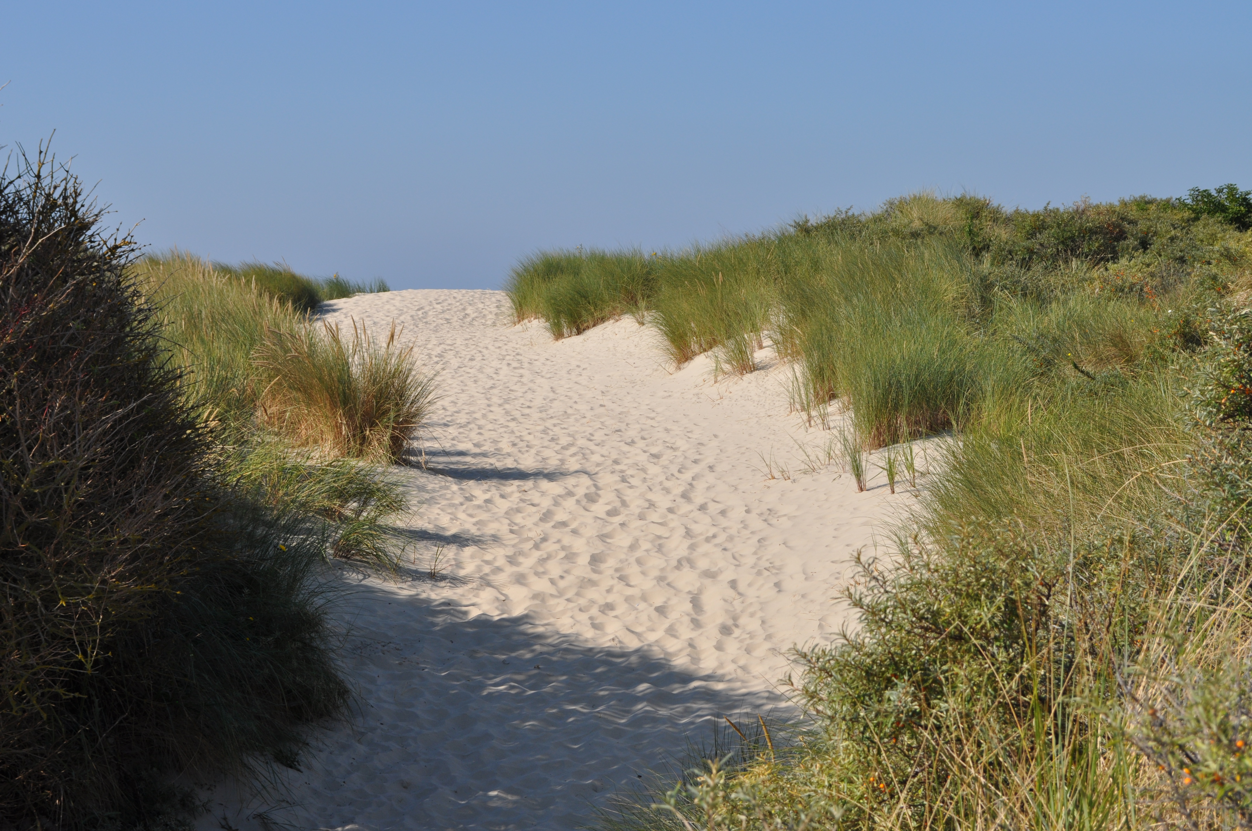 Dunes